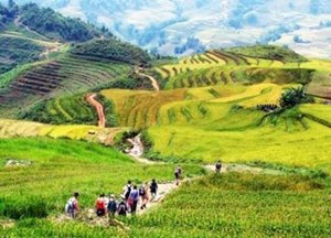 薩帕天堂之門-貓貓村-番西邦峰三天兩夜:圖片 11