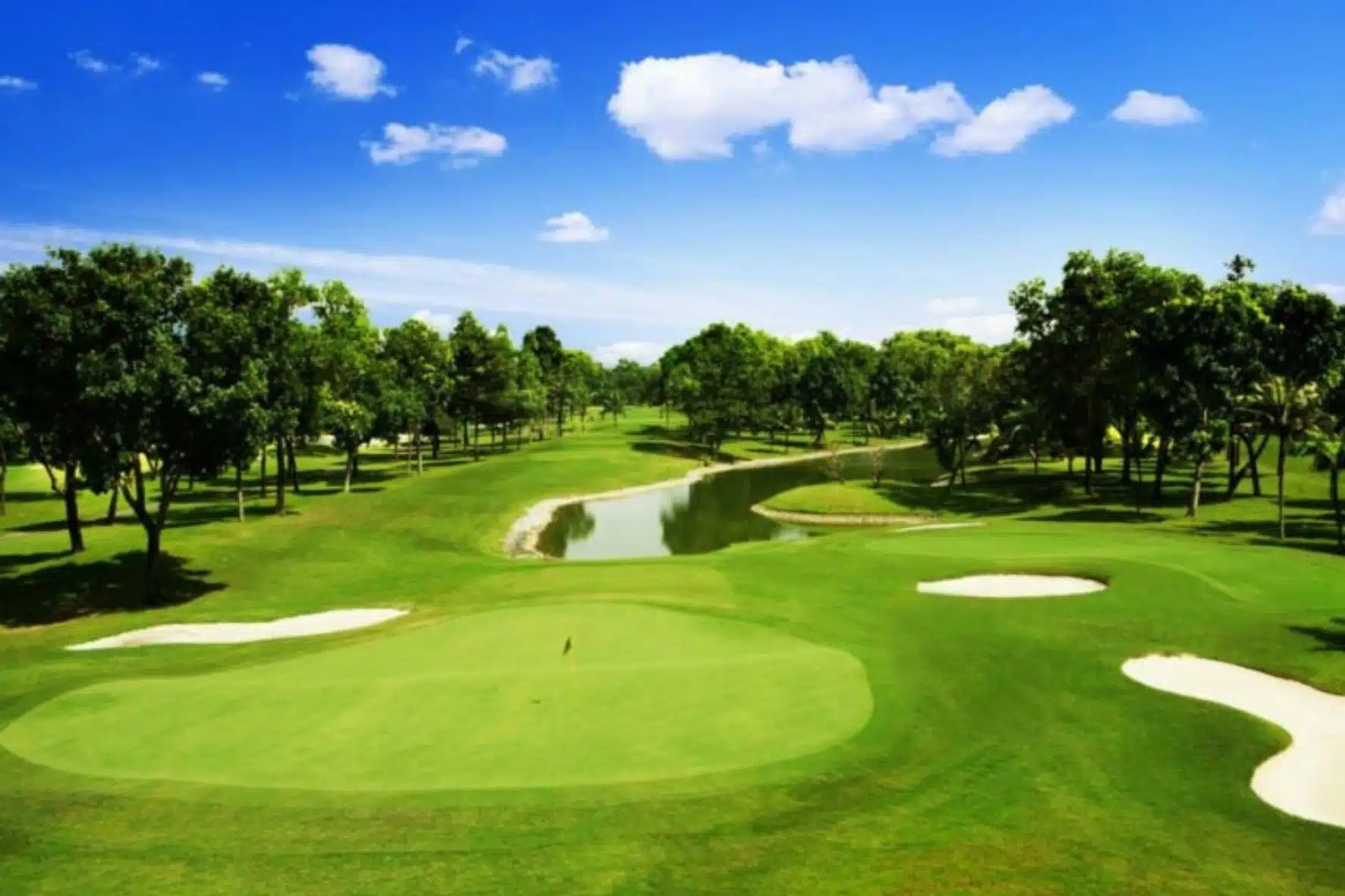 Vietnam Golf & Country Club胡志明越南高爾夫鄉村俱樂部:圖片 3
