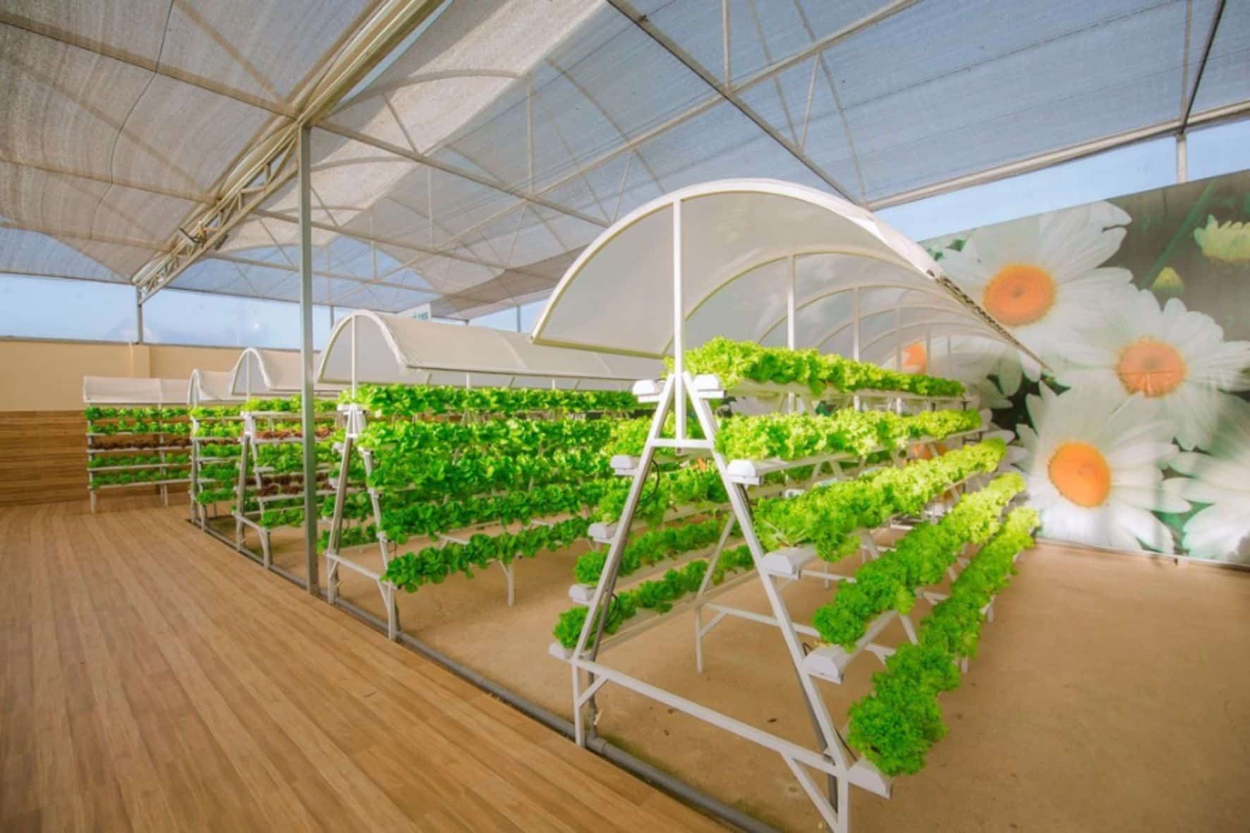 大叻高原屋頂-達坦拉瀑布-瘋狂屋拼團一日遊:圖片 2