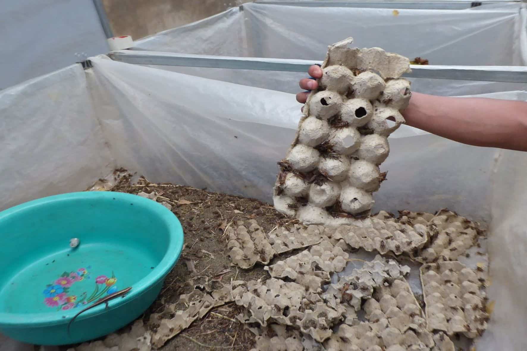 大叻郊區拼團一日遊:圖片 9