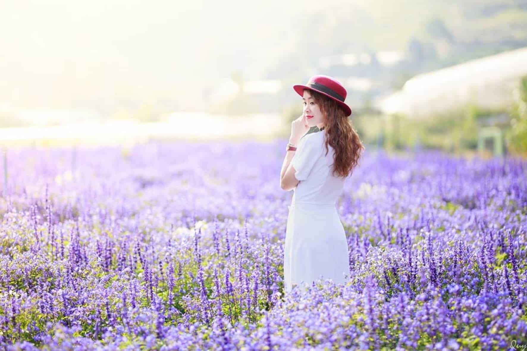 大叻高原屋頂-達坦拉瀑布-瘋狂屋拼團一日遊:圖片 5