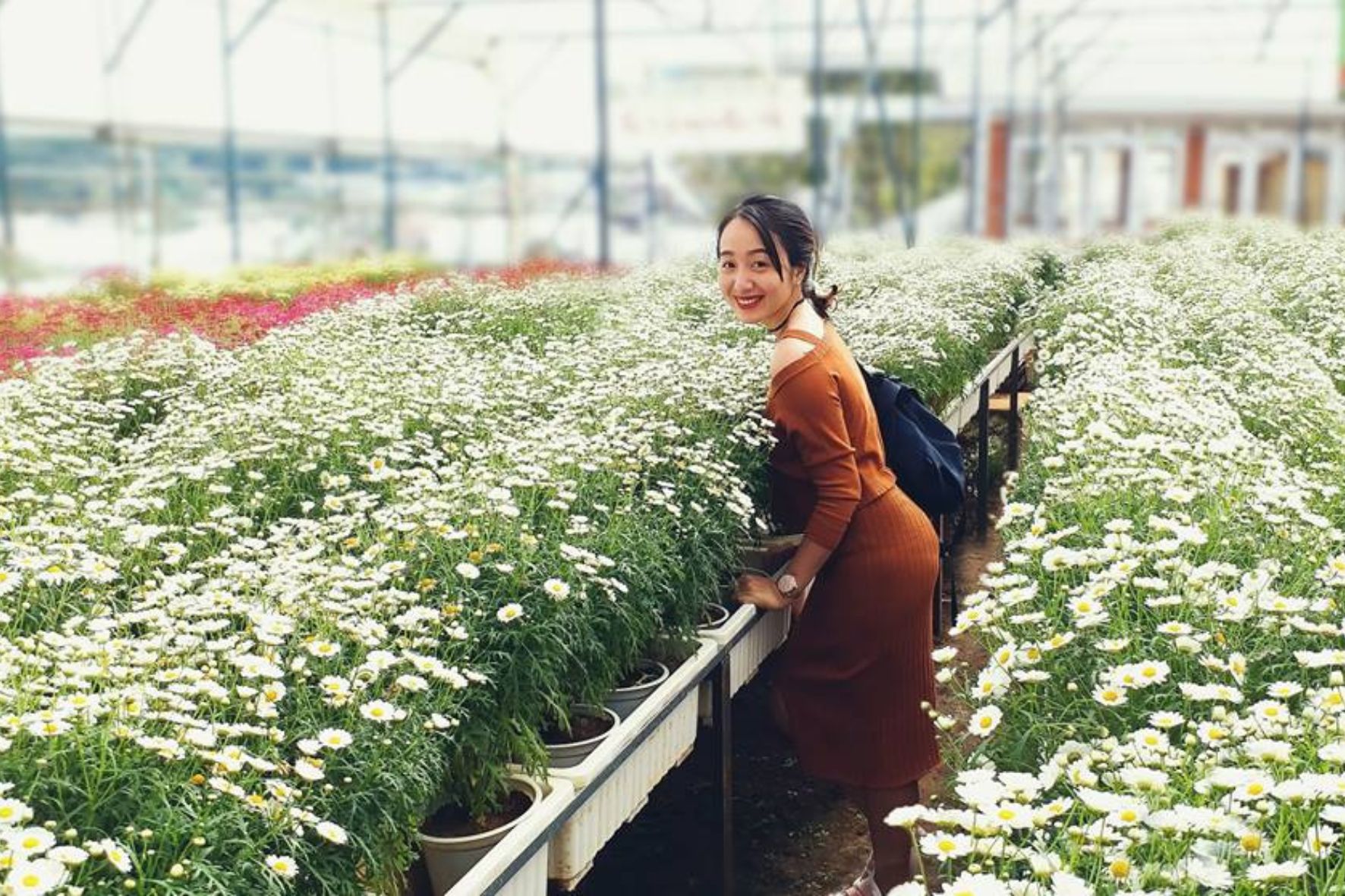 大叻高原屋頂-達坦拉瀑布-瘋狂屋拼團一日遊:圖片 6