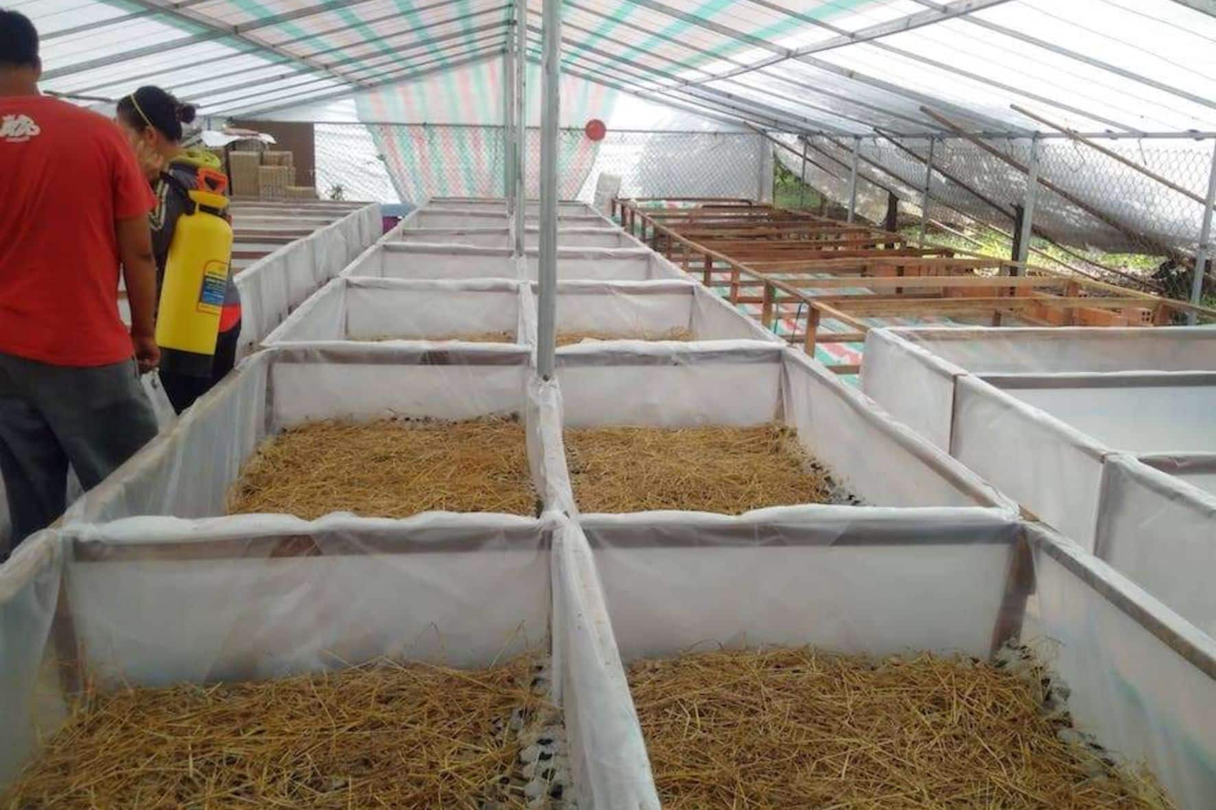 大叻郊區拼團一日遊:圖片 7