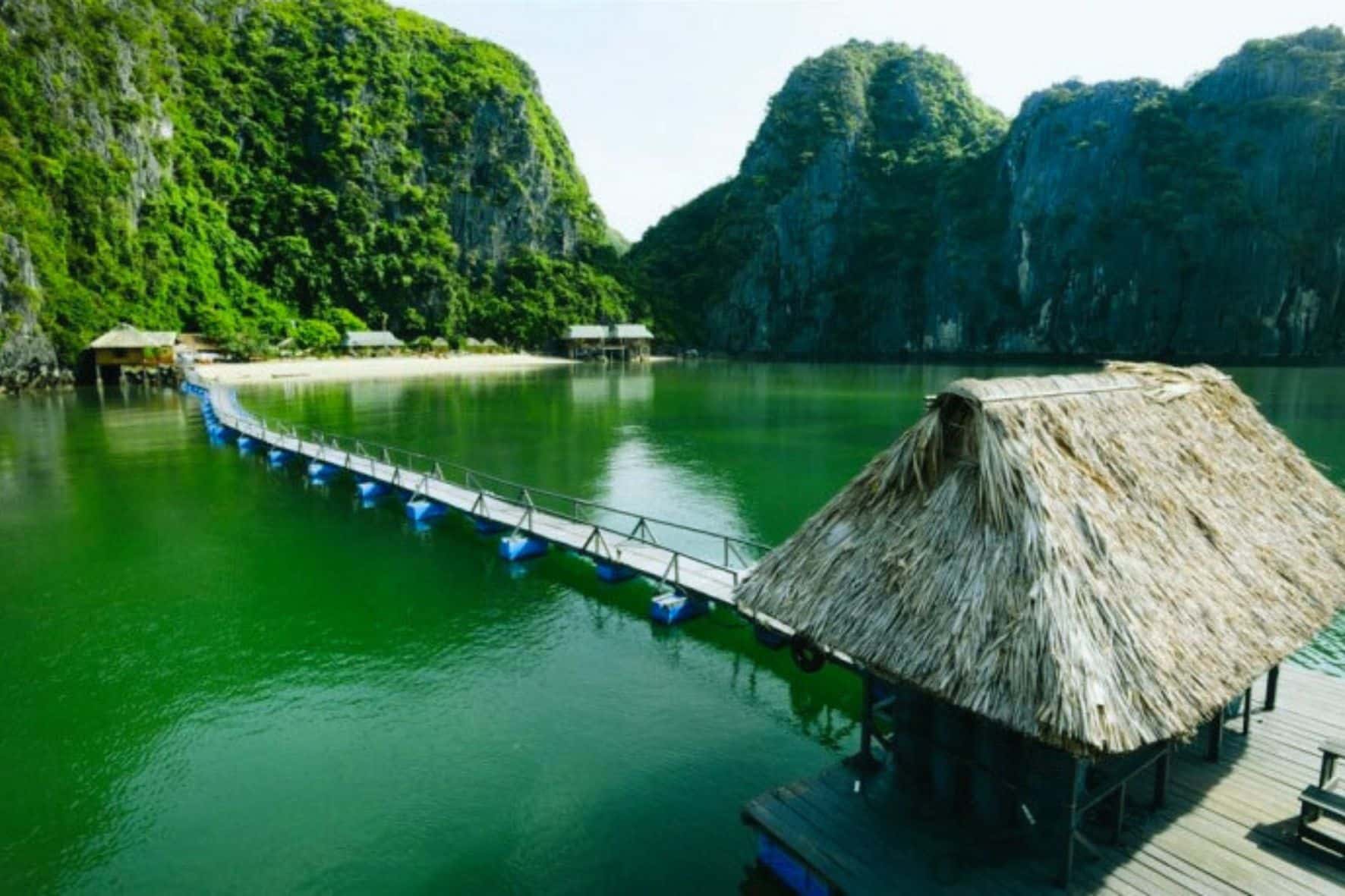 吉婆島國家公園一日遊:圖片 11