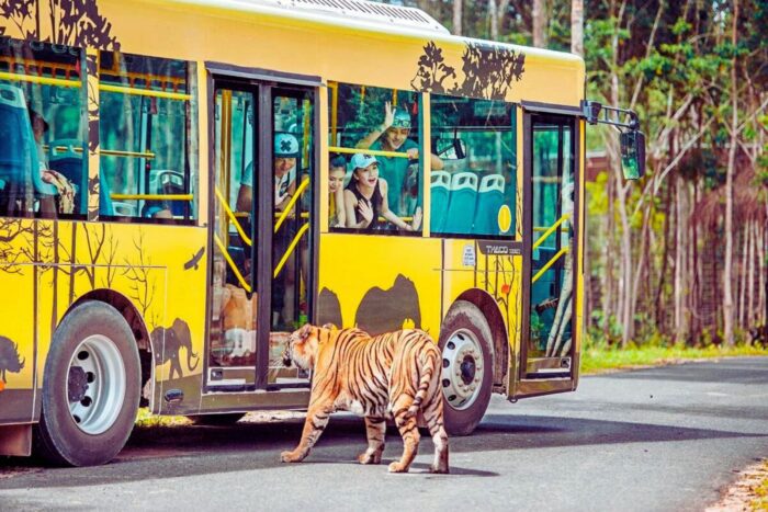 富國島珍珠樂園和珍珠野生動物園門票：圖片 10