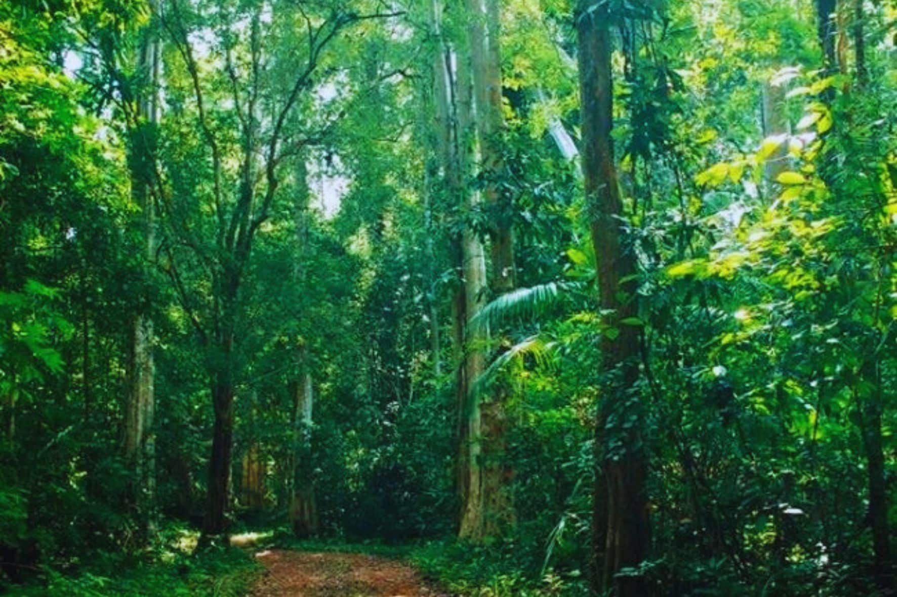 吉婆島國家公園一日遊:圖片 13