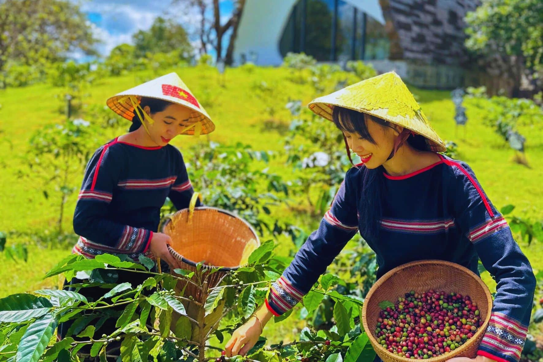 邦美蜀世界咖啡博物館:圖片 14