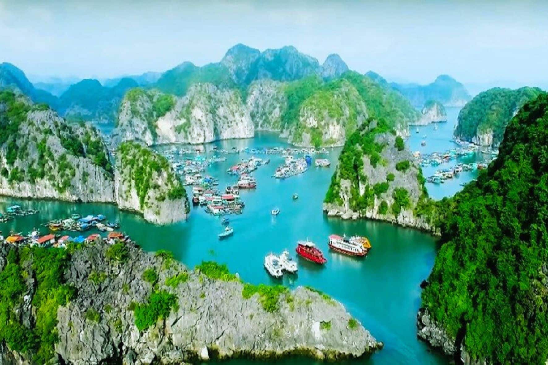 吉婆島國家公園一日遊:圖片 15