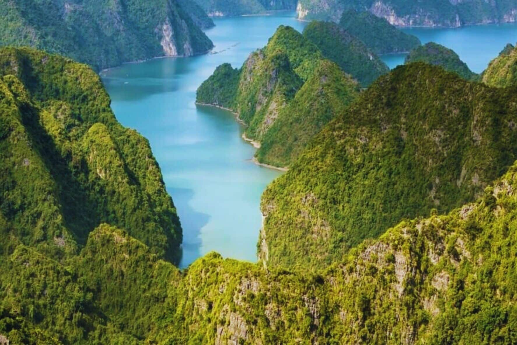 吉婆島國家公園一日遊:圖片 16