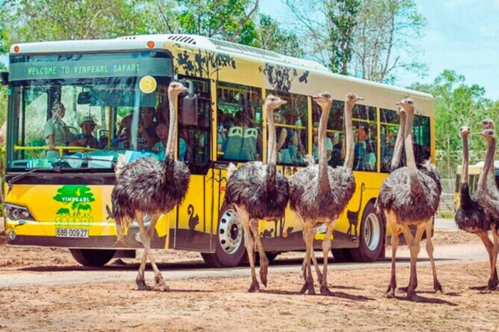 富國島珍珠樂園和珍珠野生動物園門票：圖片 15