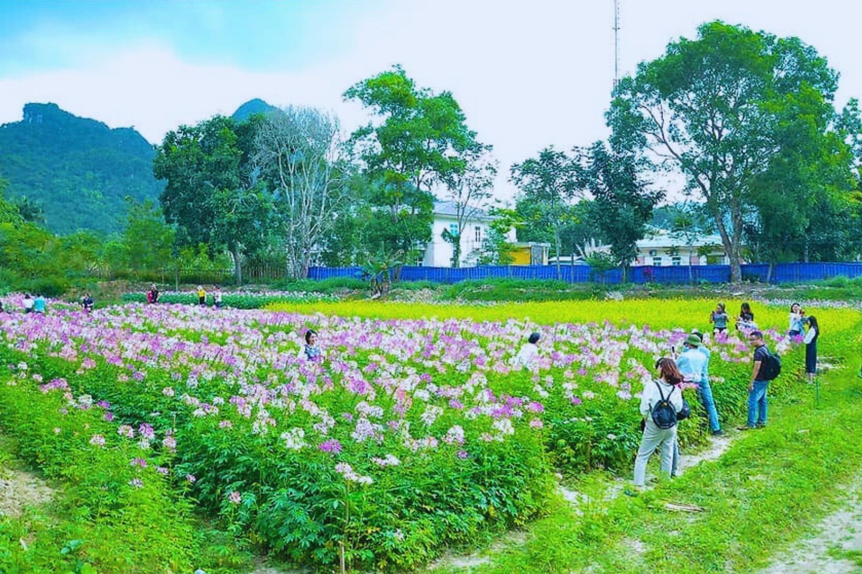 吉婆島國家公園一日遊:圖片 3