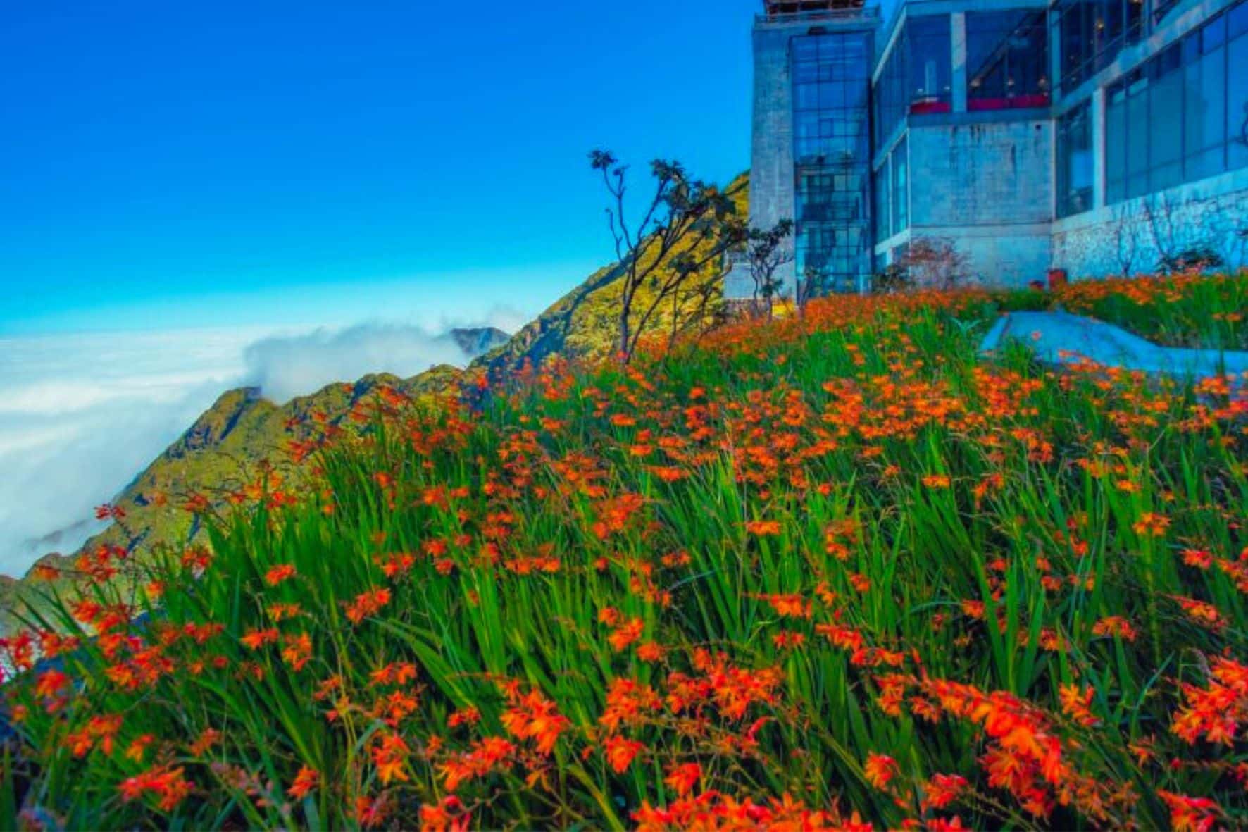 番西邦傳奇太陽世界纜車:圖片 3