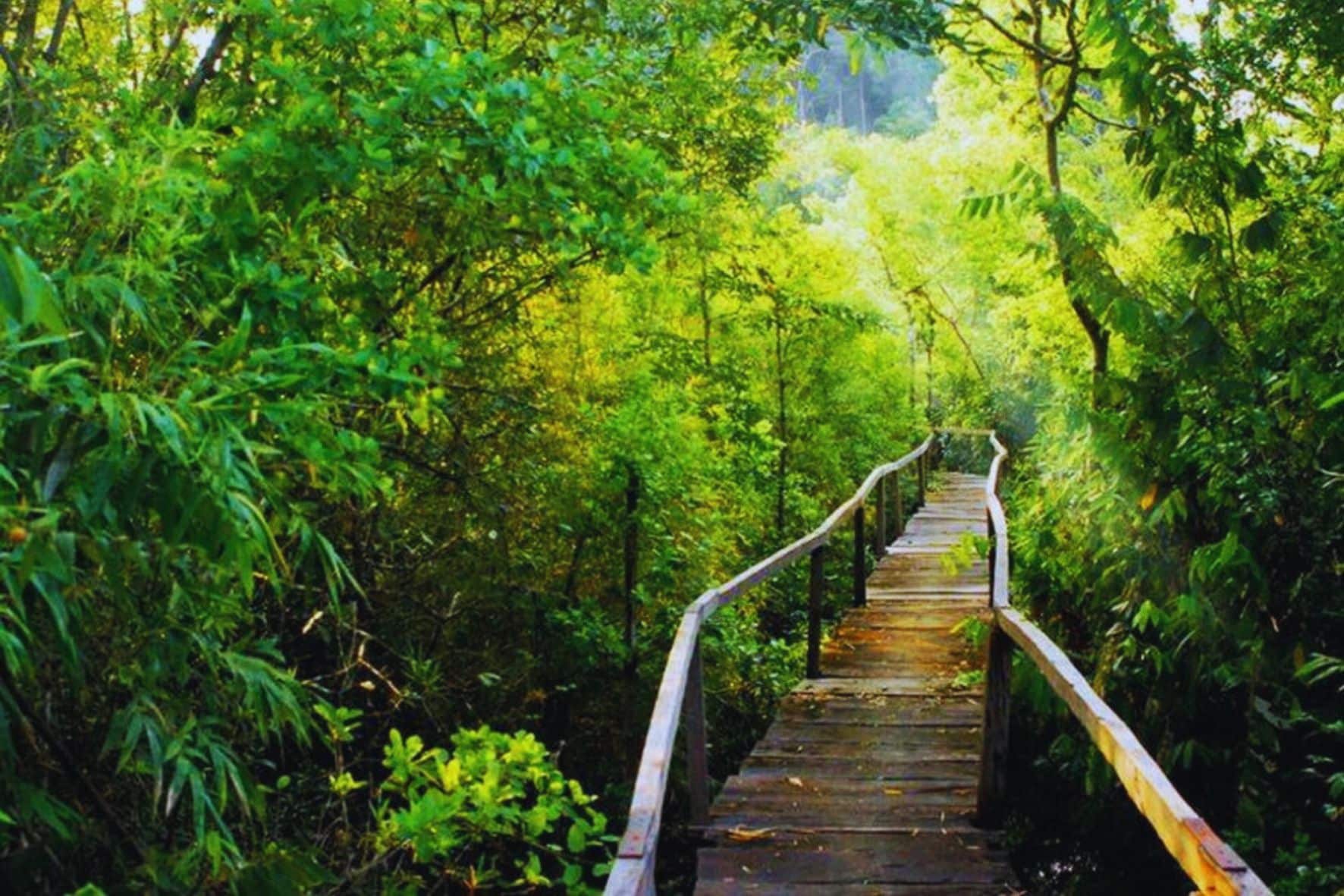 吉婆島國家公園一日遊:圖片 6