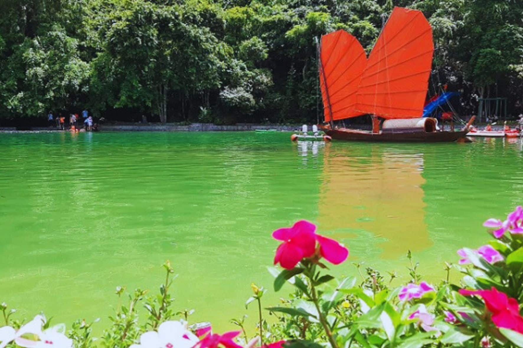 吉婆島國家公園一日遊:圖片 7