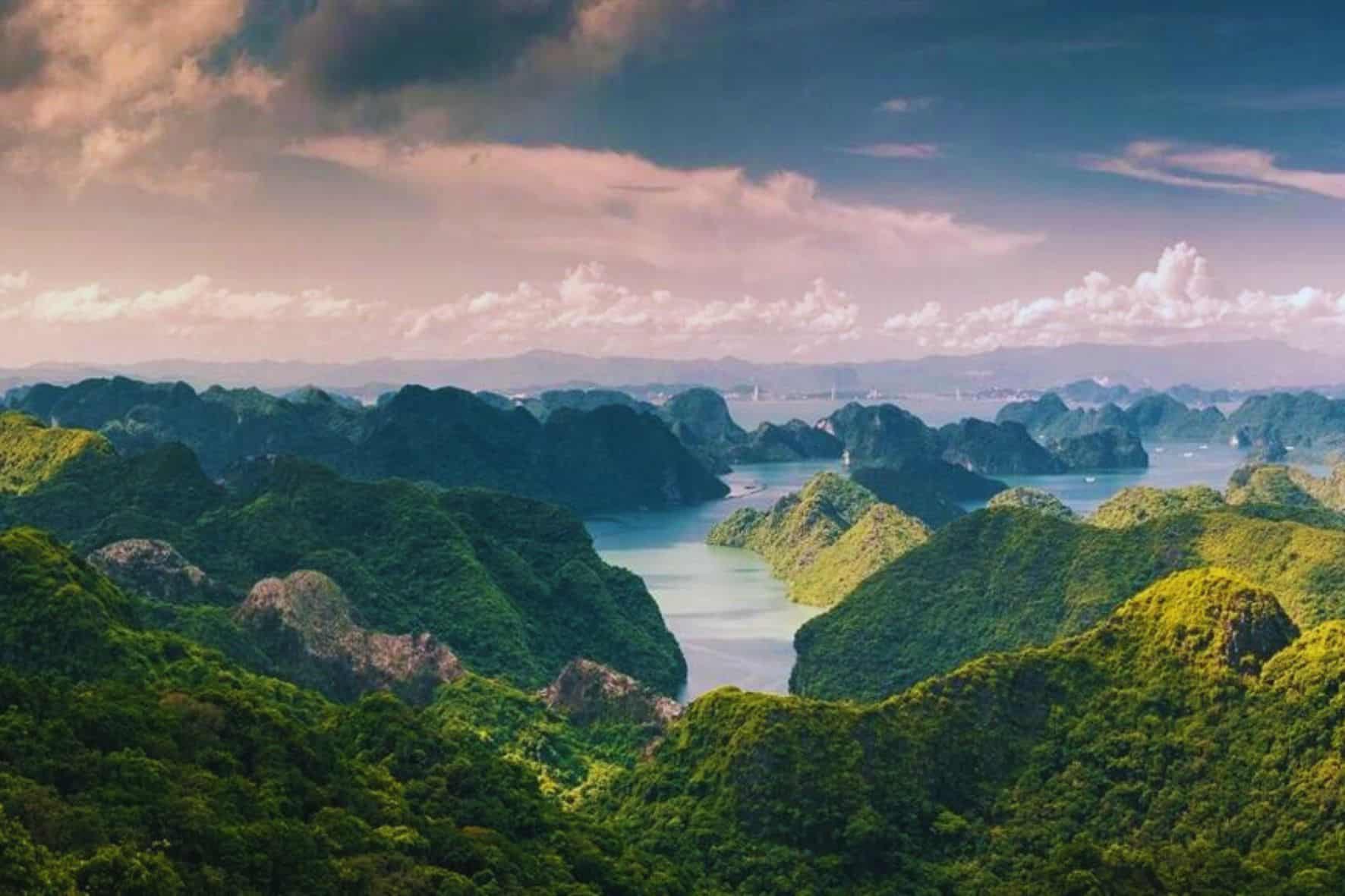 吉婆島國家公園一日遊:圖片 10