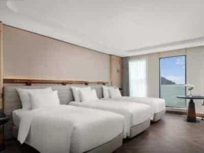 下龍灣先鋒遊輪海洋套房三人房43 m²