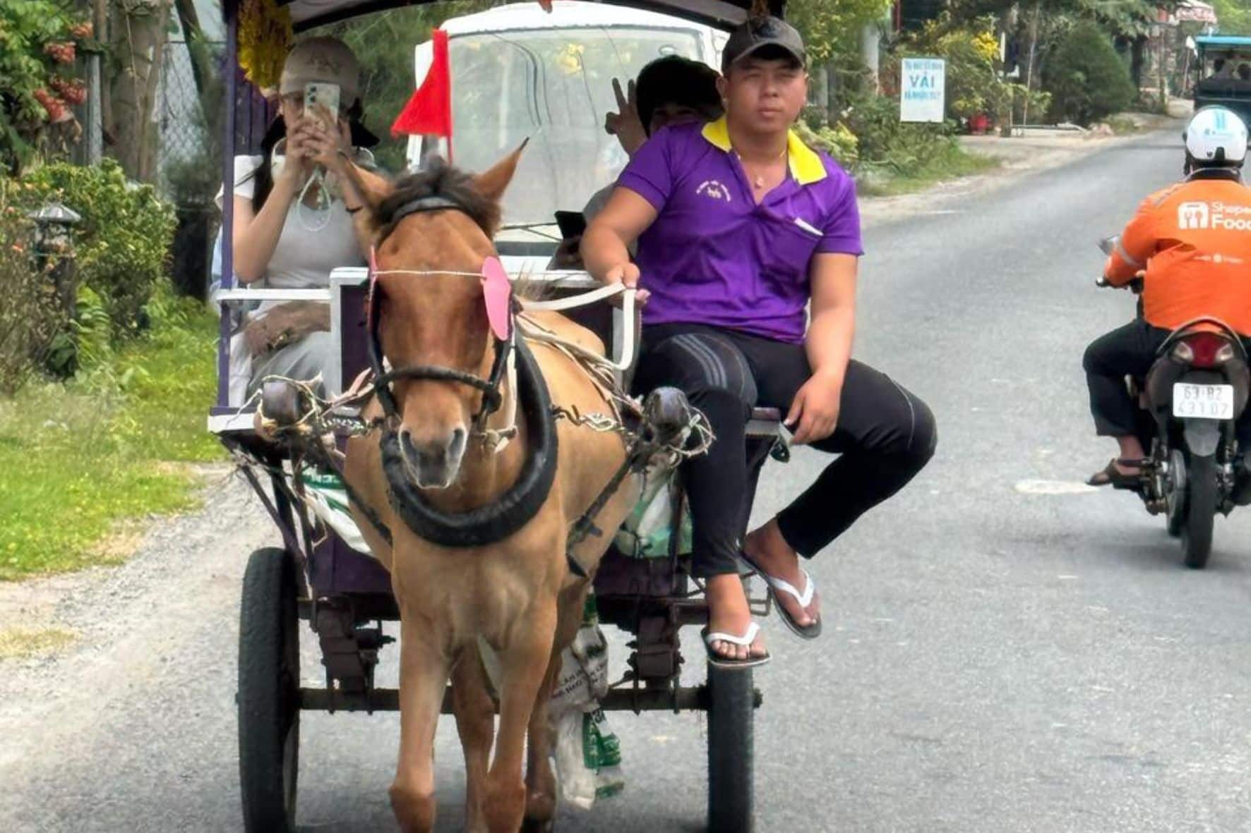 胡志明古芝地道+美托一日遊:圖片 12