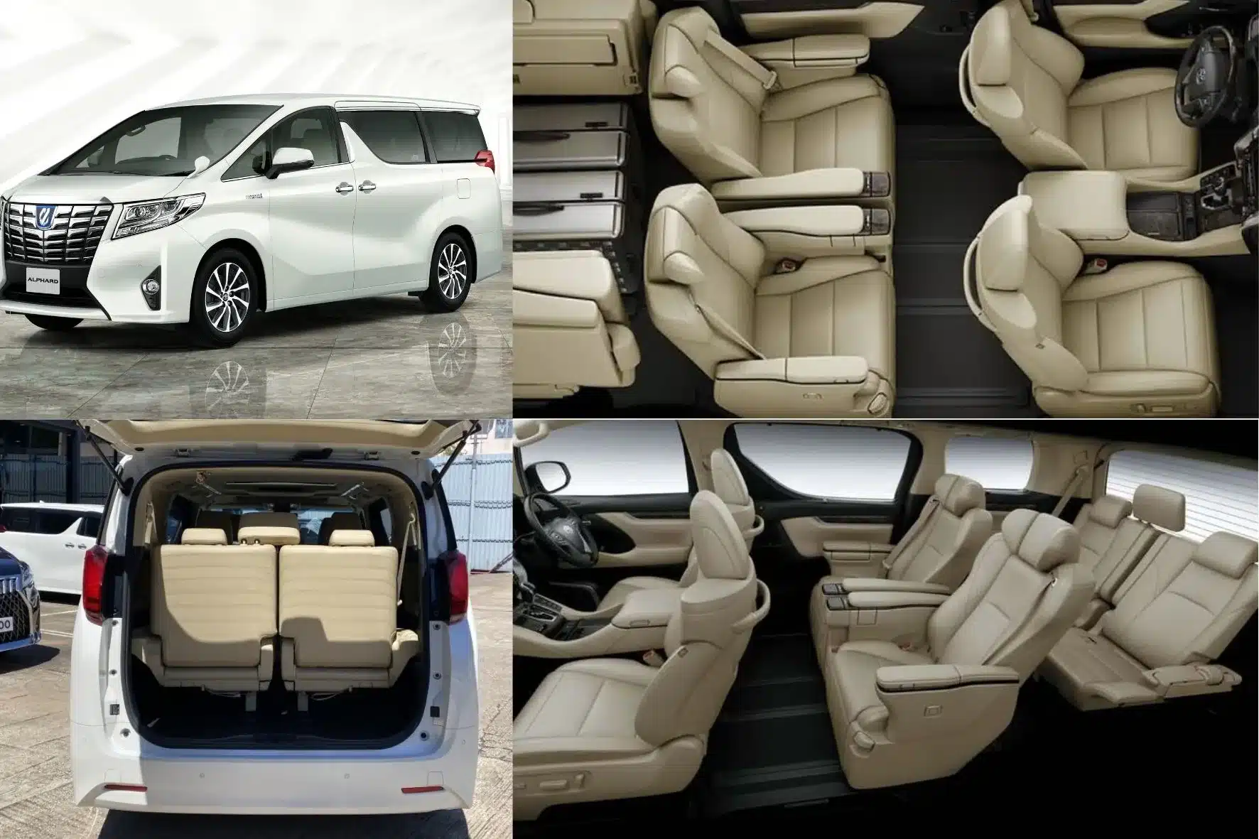 曼谷包車-中文司機 Alphard 七人座車