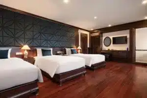 下龍灣海洋之水號郵輪水族三人套房小屋60 m²