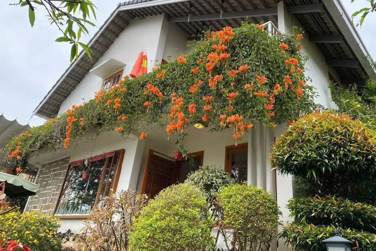 Eudora Homestay - Villa Đà Lạt尤朵拉民宿别墅(大叻):圖片 2