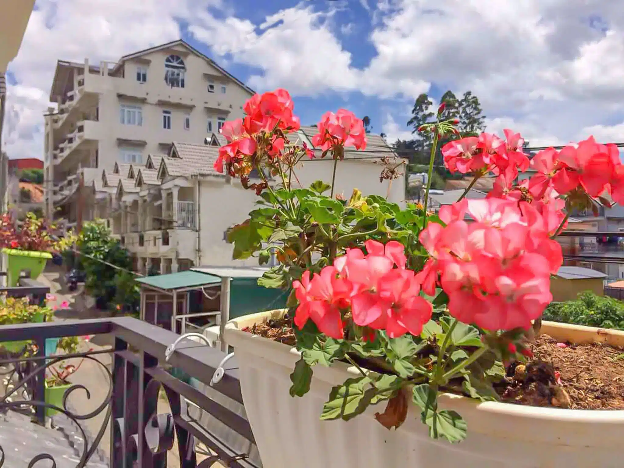 Jolie House Villa Da Lat 大叻 Jolie House 别墅:圖片 7