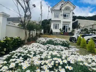 大叻Y3五臥室別墅