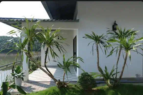 洞海Phong Nha Lake House十二臥室別墅:圖片 12