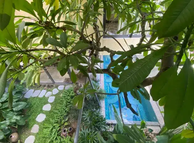 峴港Sala Casa七臥室別墅:圖片 30