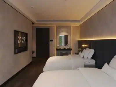 下龍勝利號郵輪小型海洋套30㎡